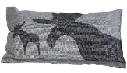 Saunakissen Jokipiin